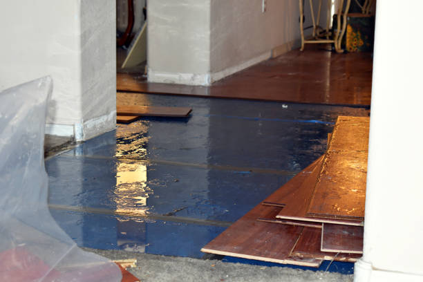 Professional Water Damage Repair technician working in Higbee, MO